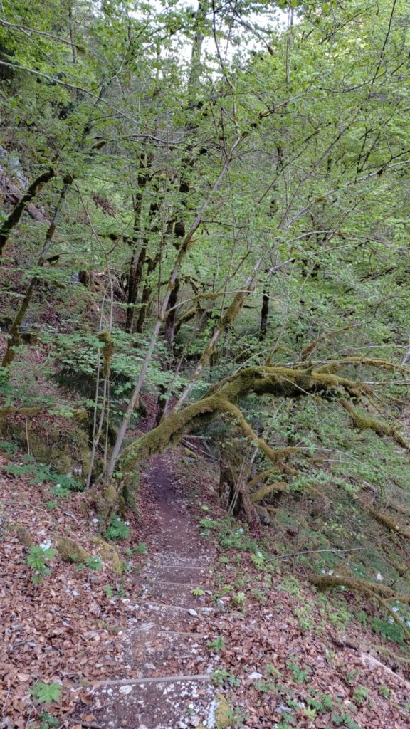 IMG_20260429_100023716